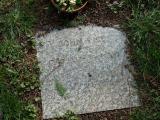 image of grave number 321208